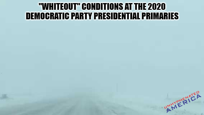 “Whiteout” conditions at the 2020 Democratic Party presidential primaries